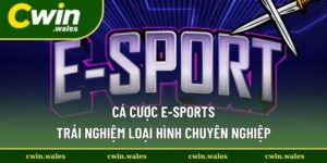 Cá Cược E-Sports - Tổng Hợp Tựa Game Hot Và Kinh Nghiệm Hay