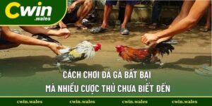 cách chơi đá gà bất bại