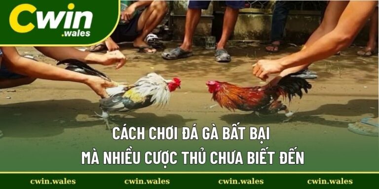 cách chơi đá gà bất bại
