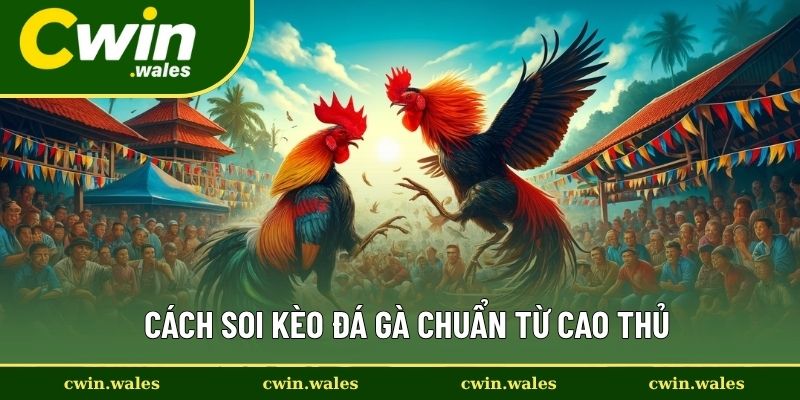 Cách Soi Kèo Đá Gà Chuẩn Từ Cao Thủ