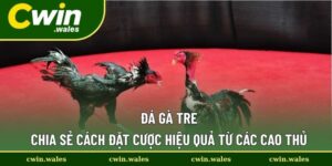 Đá gà tre