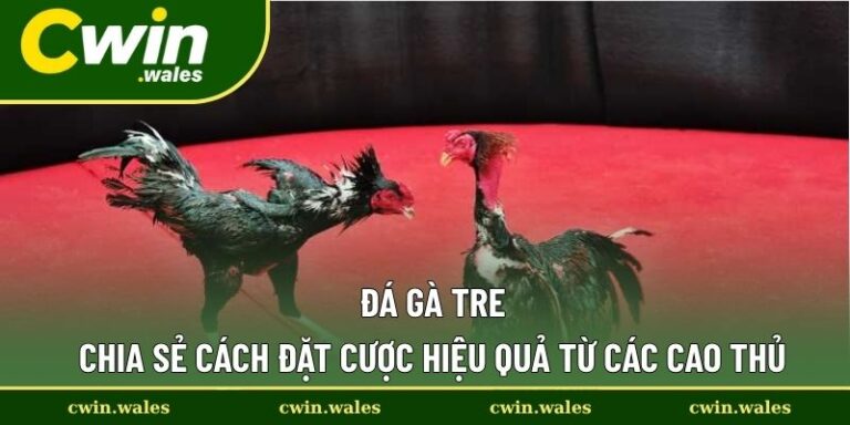 Đá gà tre