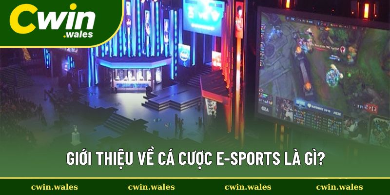 Thông tin về hình thức cá cược E-sports