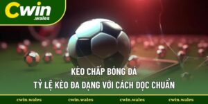 Kèo Chấp Bóng Đá - Tổng Hợp Nhiều Cửa Bóng Đá Hiện Nay