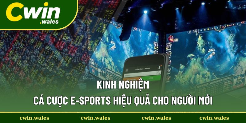 Chơi đỉnh cùng những kinh nghiệm cá cược hay
