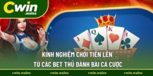 Kinh Nghiệm Chơi Tiến Lên Từ Các Bet Thủ Đánh Bài Cá Cược