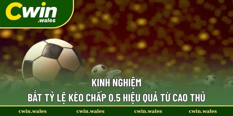 Kinh nghiệm bất bại khi chơi kèo 0.5