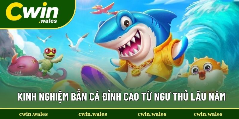 Kinh nghiệm bắn cá đỉnh cao từ ngư thủ lâu năm