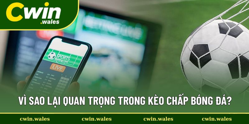 Lý giải sự cần thiết của kèo chấp bóng đá