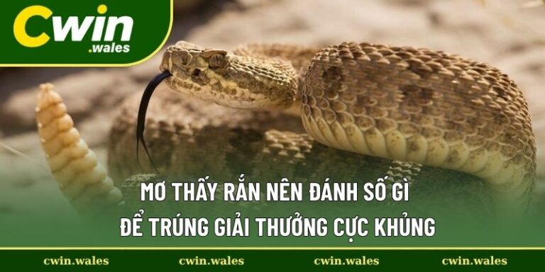 mơ thấy rắn