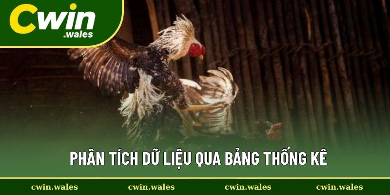 Cách Chơi Đá Gà Bất Bại Mà Ít Các Cược Thủ Đá Kê Biết Đến 3 Phân Tích Dữ Liệu Qua Bảng Thống Kê