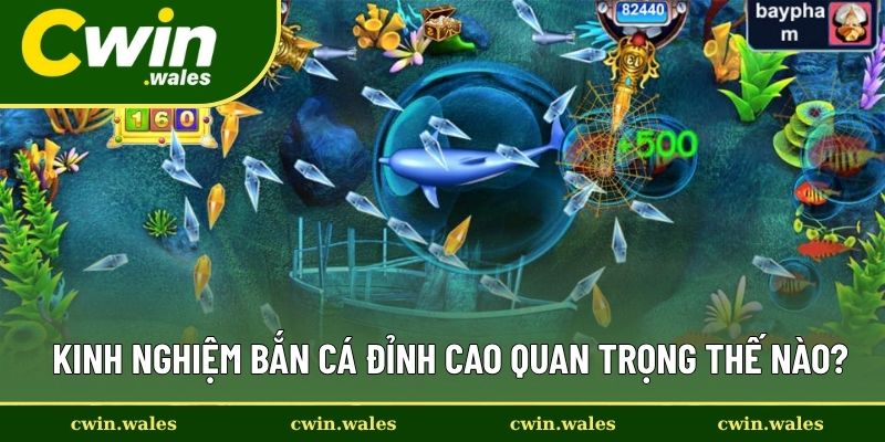Kinh nghiệm bắn cá đỉnh cao quan trọng thế nào?