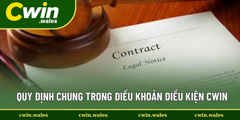 Nội dung quy định của chính sách điều khoản điều kiện Cwin