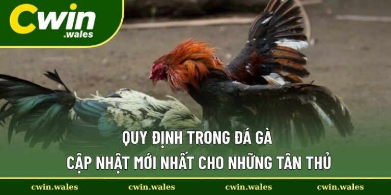 Quy định trong đá gà
