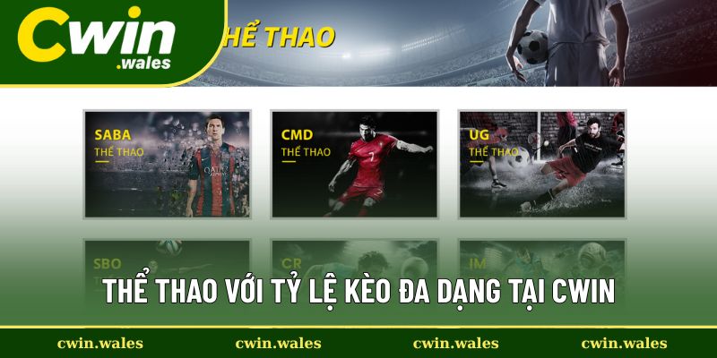 Đỉnh cao sân chơi sôi động, kịch tính