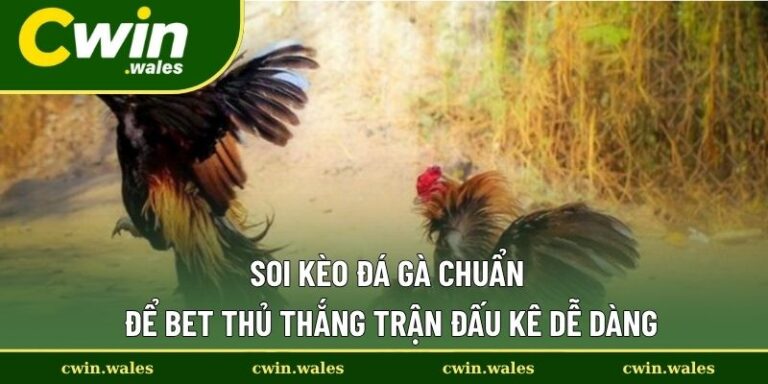 soi kèo đá gà chuẩn