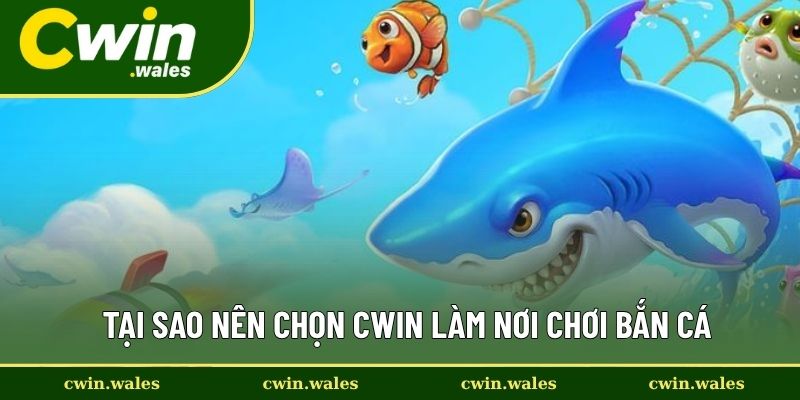 Cách Chơi Bắn Cá Hay Giúp Bạn Ngắm Được Nhiều Mục Tiêu Nhất 3 Tại sao nên chọn Cwin làm nơi chơi bắn cá?