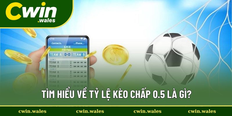 Định nghĩa và ví dụ về tỷ lệ kèo chấp 0.5